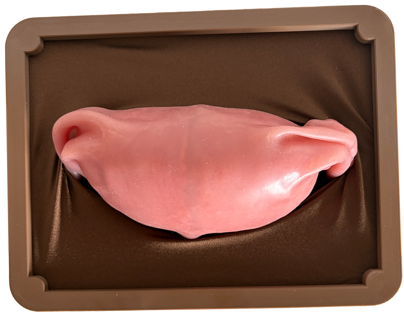 Model image